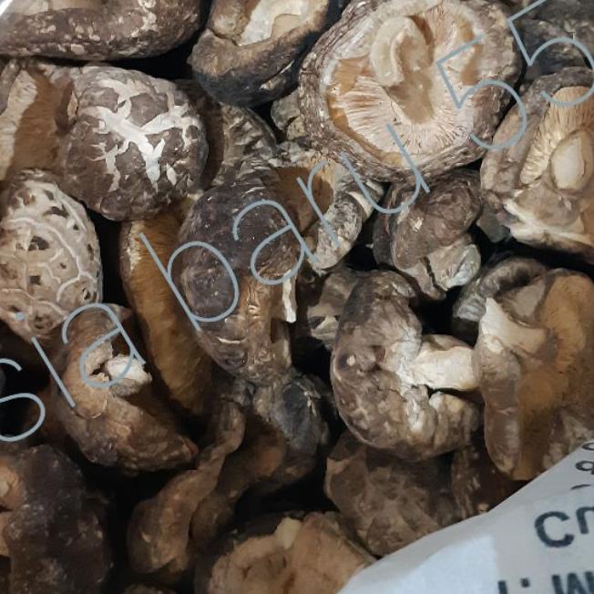 

SALE✅Jamur Hioko 100gr Jamur Shitake 100gr Jamur kering|RA1
