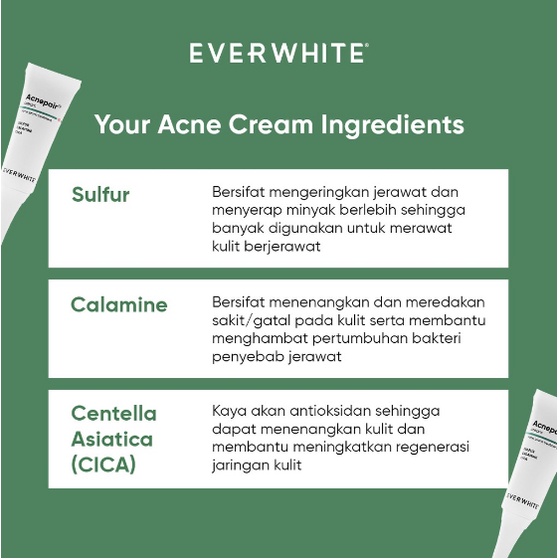 EVERWHITE Acnepair Cream 15gr / Acne Skin Tretament /  Obat Jerawat