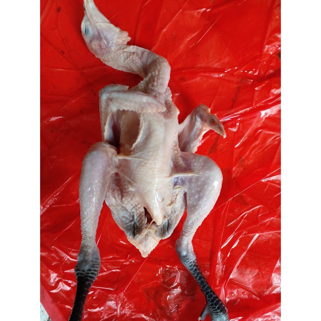 

Ayam kampung frozen berat bersih 700gram/ayam kampung murah/ayam