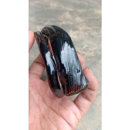 Akar bahar hitam jumbo halus
