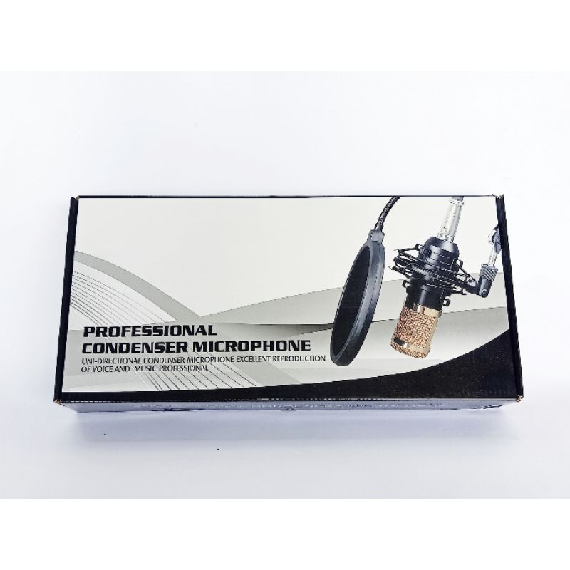 PROFESSIONAL CONDENSER MICROPHONE