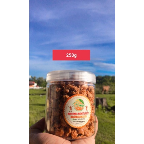 

SNACK KILOAN CEMILAN KACANG KENTUCKY KEMASAN 250g