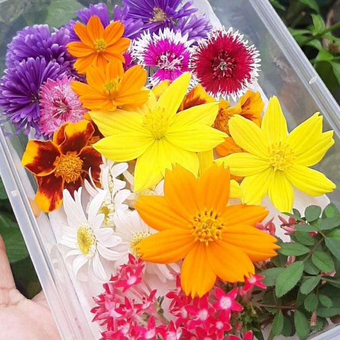 

[COD] Edible flowers 30 Pcs (Flowers) [COD]