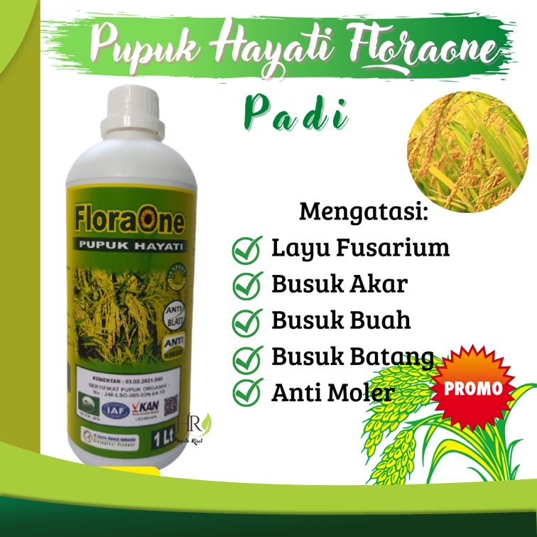 Pupuk Pertumbuhan Akar, Nutrisi Peningkat Kualitas Hasil Panen Tanaman Padi, Nutrisi Padi Cair Terba