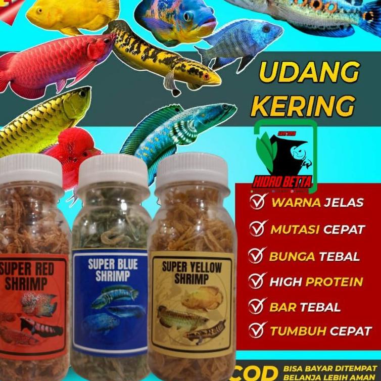 ⏎ Udang Kering Pakan Ikan Channa Maru Yellow Sentarum Auranti Limbata Pulchra ㅂ