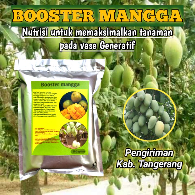 Jual Pupuk Booster Mangga Perangsang Bunga Dan Pelebat Buah Kemasan 250 ...