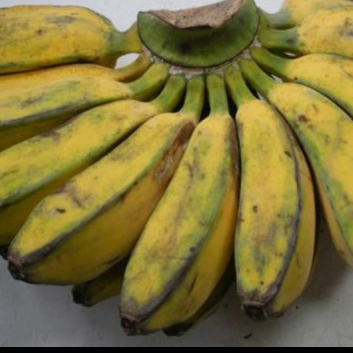 

Pisang kepok 1sisir