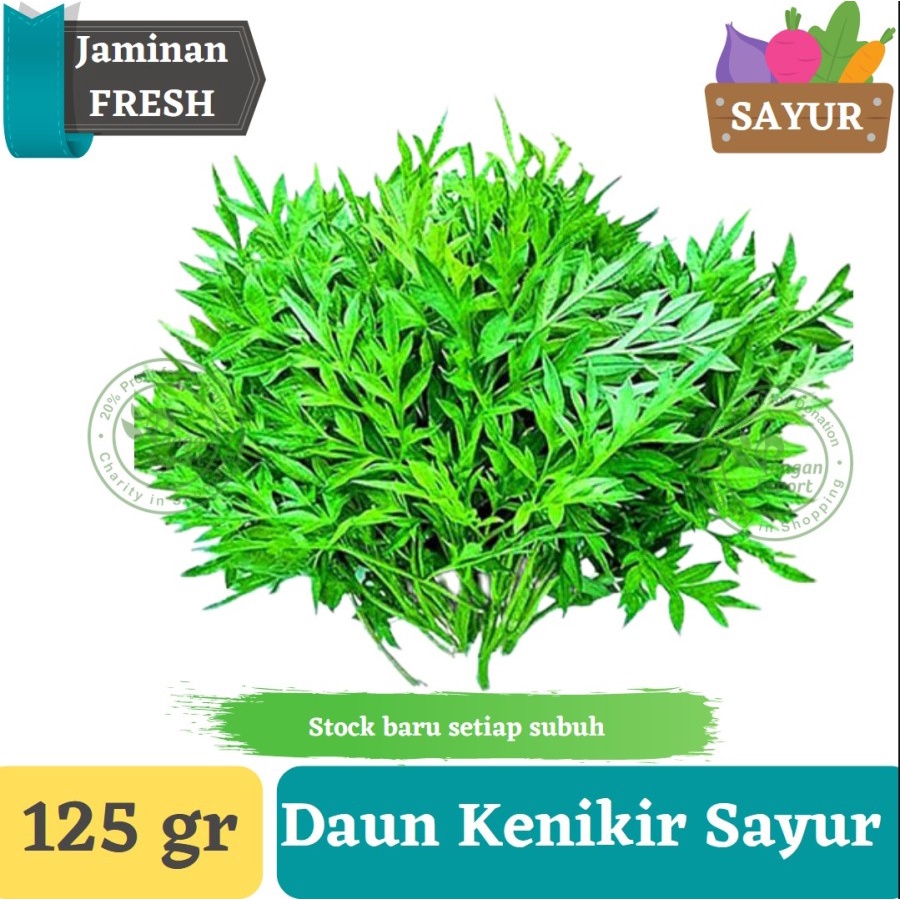 

Daun Kenikir Sayur Fresh