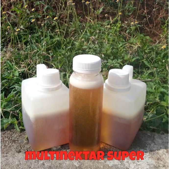 

BEST SELLER MADU MULTINETAR ISI BERSIH 500G DISCOUNT
