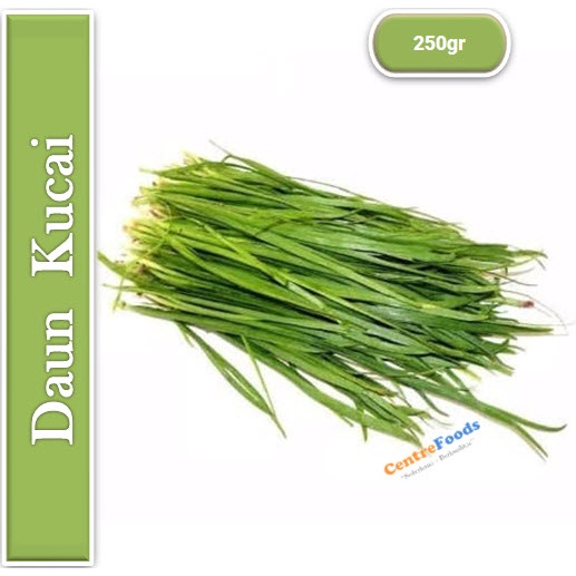 

Sayur Kucai - Daun Kucai Fresh | 250gr [ Harga Per BKS ]