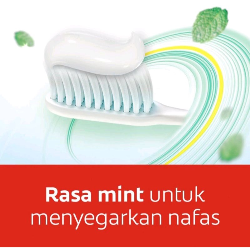 Colgate Maximum Cavity Protection Fresh Cool Mint Toothpaste 180g - Pasta Gigi