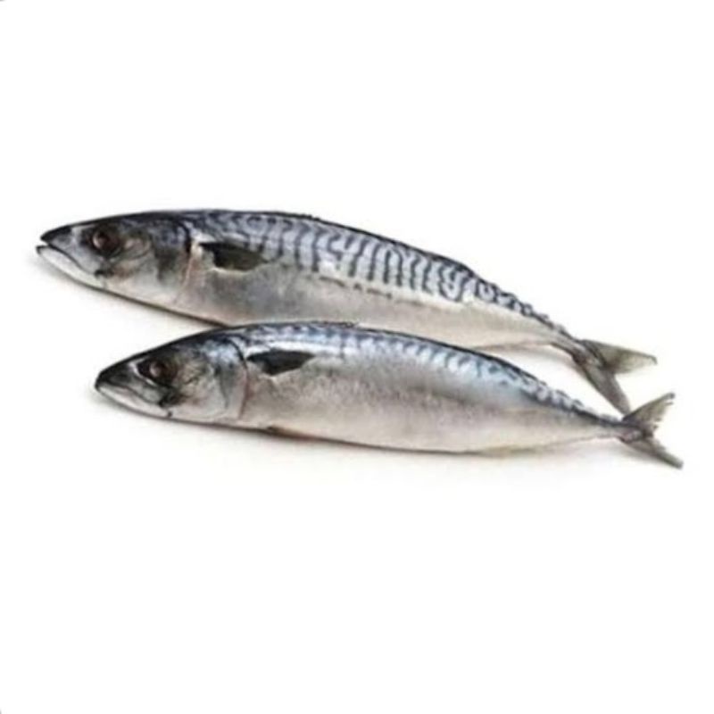 

Ikan salem 500g