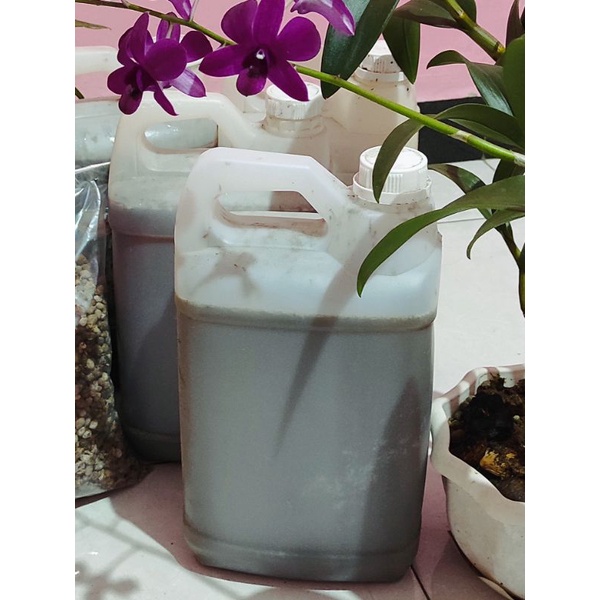 Pupuk urin / kencing kelinci