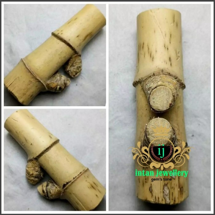 Eklusif Bambu Petuk Asli Bambu Hiasan Promo