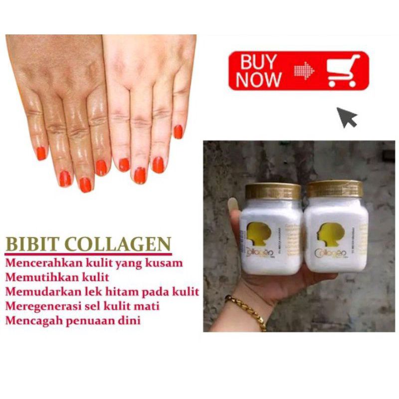 Medan Cod Bibit Colagen Mecca Anugrah / Bibit Ampuh Pemutih Badan / Cream Lotion Pemutih Badan Wajah