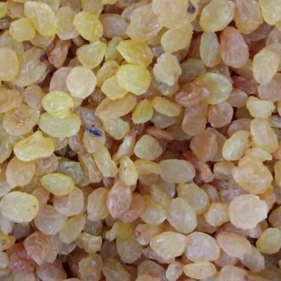 

Termurah dan terbaik kismis fresh manis golden raisin 1000gr !!