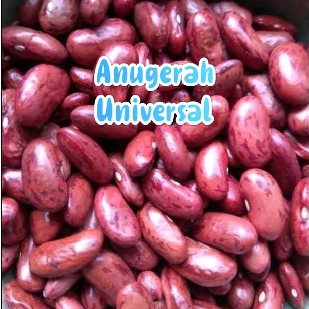 

Kacang Merah Jogo (REPACK)