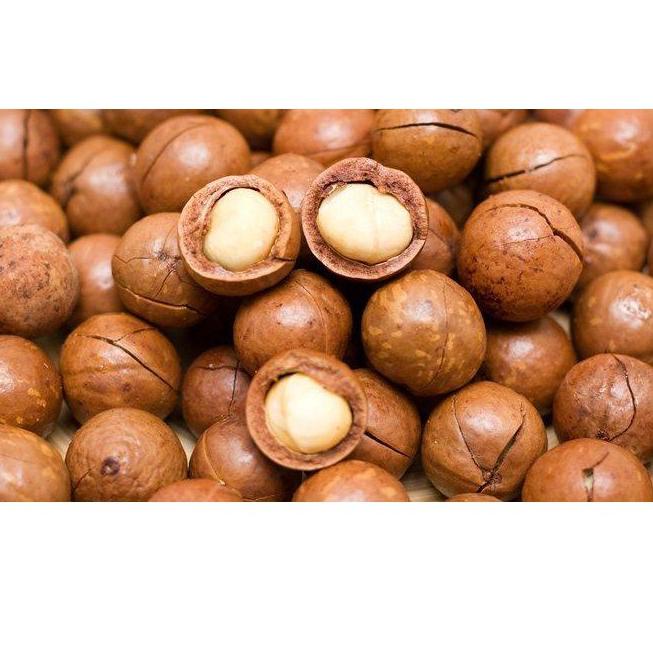

kodeo5O9a--Macadamia Kulit Roasted 500gram - Kacang yang Ngeselin FREE ALAT PEMBUKANYA