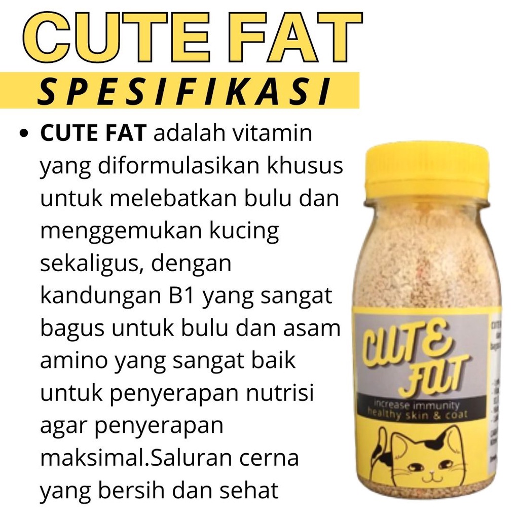 Vitamin Penggemuk Kucing CUTE FAT Pelebat Bulu Kucing Obat Penumbuh Bulu Kucing FEZONE