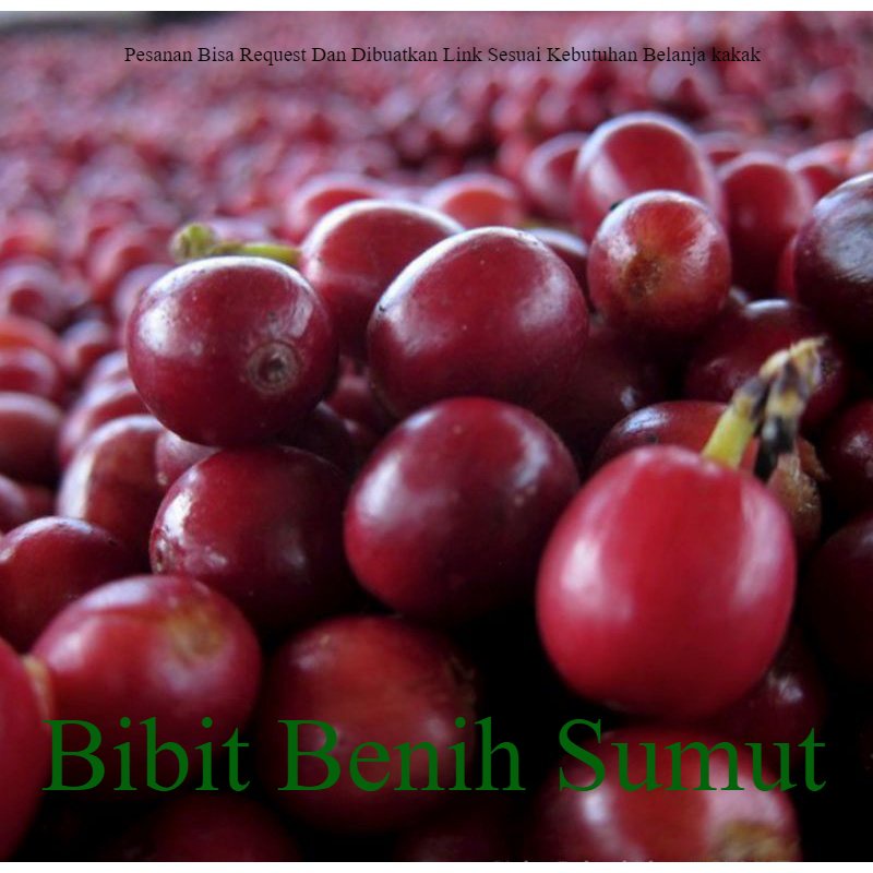 

Kopi Biji Merah 1KG Kwalitas Bibit Kopi cery Berkulit Merah Biji Kopi Cherry Kopi Berkulit Merah bisa pakan luwakPakan Luwak Buah Merah Biji Kopi Cherry Kopi masih Berkulit Bila ingin order banyak bisa kami buatkan link khusus ya kak