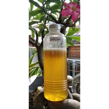 

Madu Murni Cadas Super hutan Sumatra