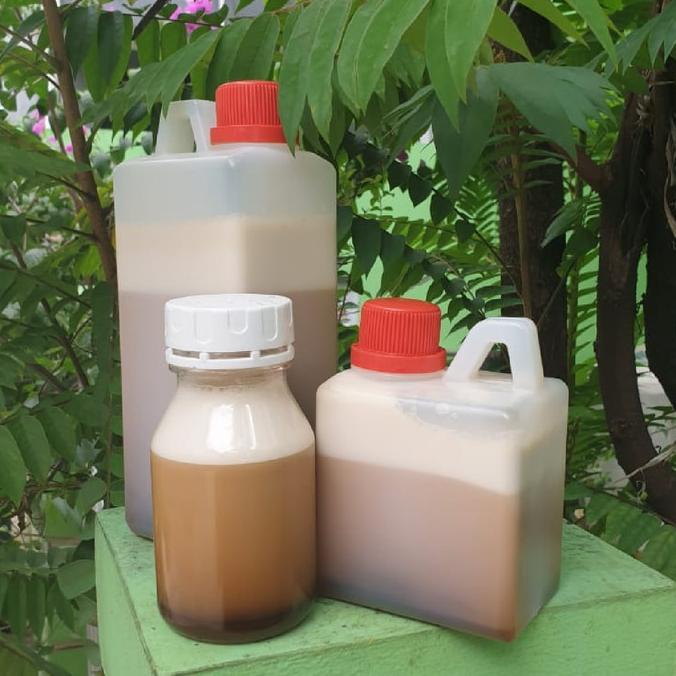 

TERBARU MADU BUNGA AKSIA S 300G PENGIRIMAN CEPAT