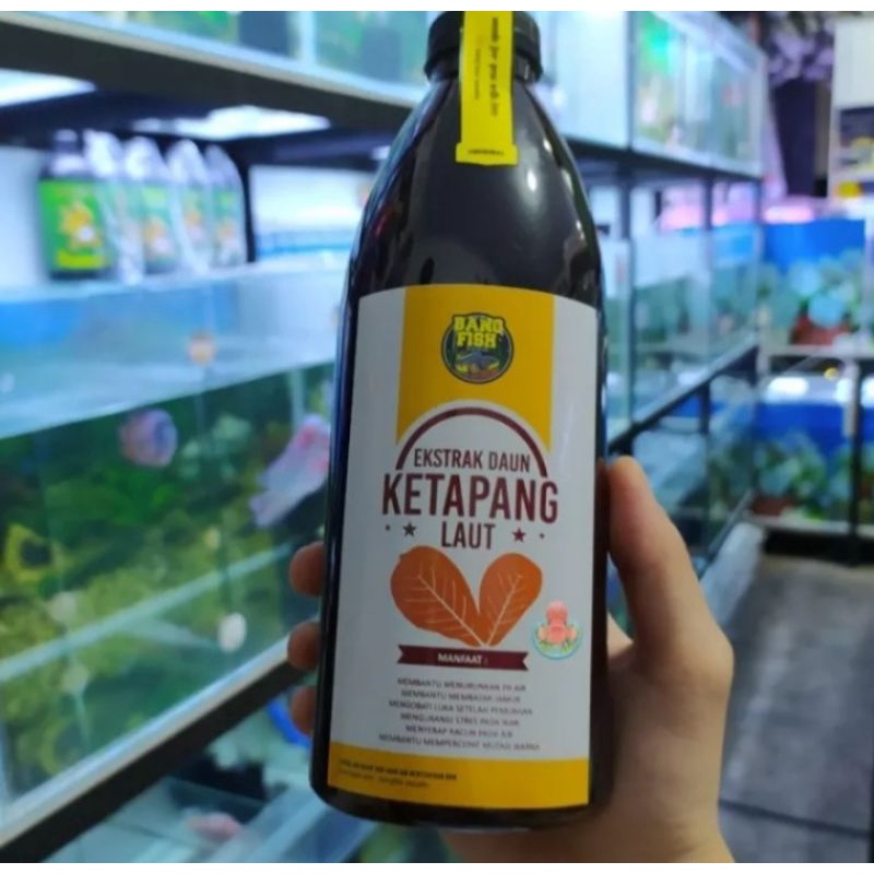 

ekstrak ketapang laut bang fish repack 70ml