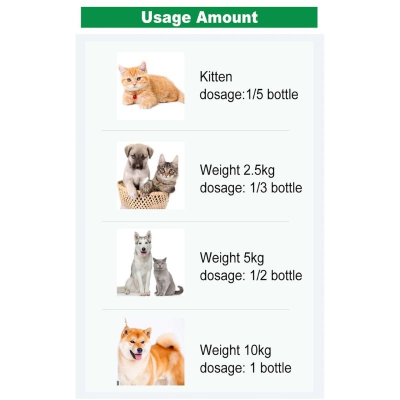 obat tetes kutu anjing kucing di tengkuk