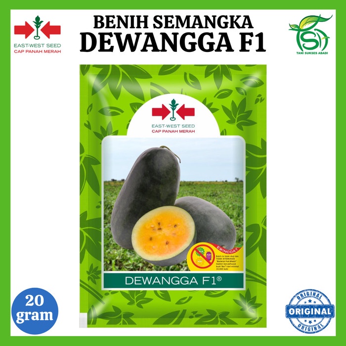 Benih Semangka DEWANGGA F1 (20 Gram) - Bibit Inul Cap Panah Merah