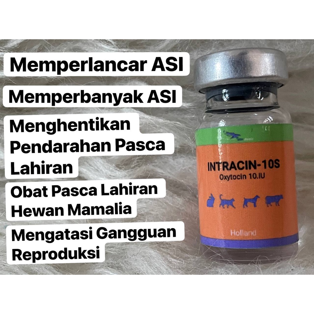 INTRACIN 10S (Pengganti Oxytocin 10) Hormon Kontraksi Uterus Kelenjar Susu Hewan Pelancar Kelahiran 