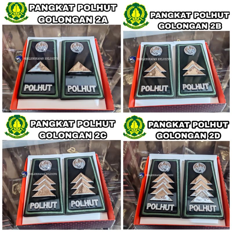 PANGKAT POLHUT 2A - PANGKAT POLHUT 2B - PANGKAT POLHUT 2C - PANGKAT POLHUT 2D - PANGKAT POLHUT