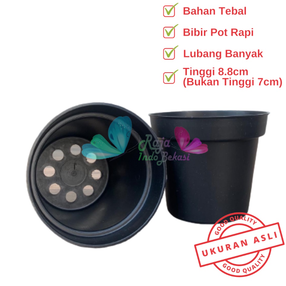 Pot Kaktus Mini Pot Hitam 5cm ,8cm dan 10cm