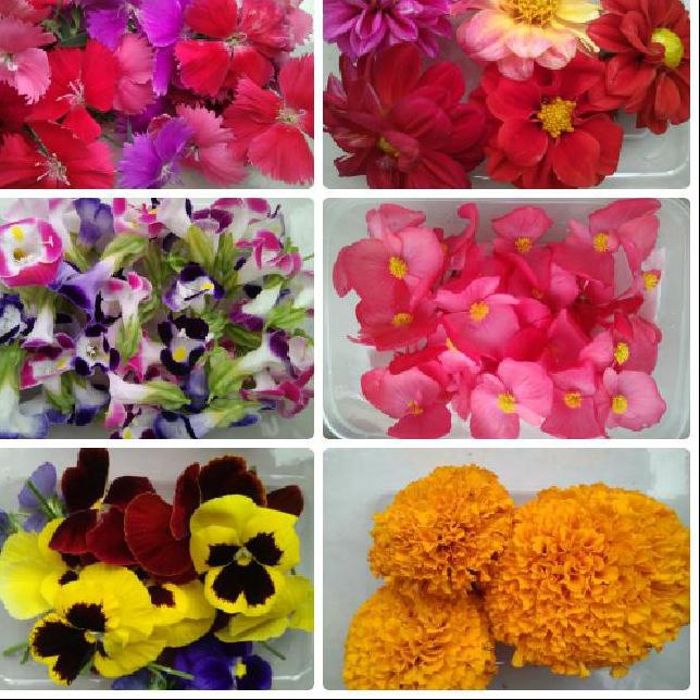 

✨BIG SALE✨ MURAH MERIAH MIX EDIBLE FLOWER - 24PCS !!