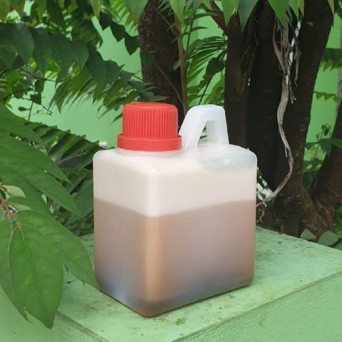 

NEW SALE MADU BUNGA AKSIA S 500G SALE