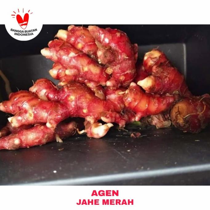 

Jahe Merah Bersih 1kg / Jahe Merah Medan Super Segar Tanpa Tanah