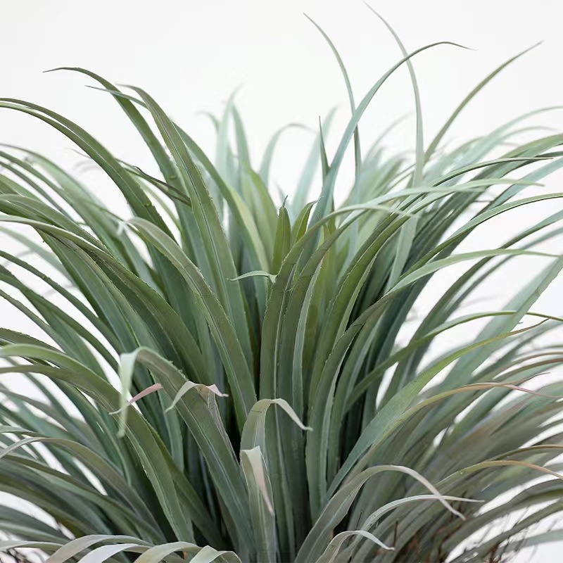 AND / COD / Pohon Palem Hias Palsu Tanaman Nolina Ponytail Palm Plastik Artificial Dekorasi Rumah PBP128