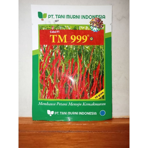 Benih cabai Keriting/bibit/TM 999