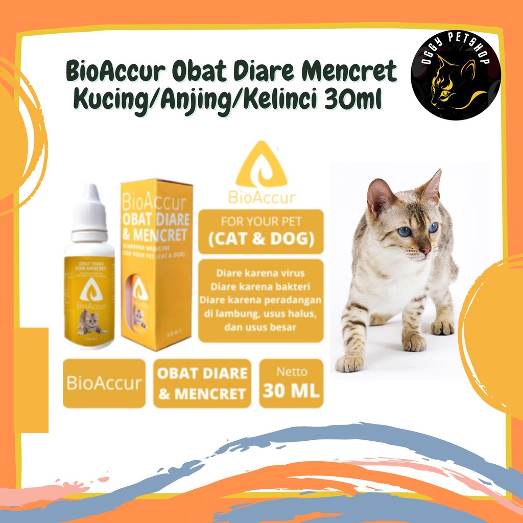 BioAccur Obat Diare Mencret Kucing/Anjing/Kelinci 30ml - BIO ACCUR