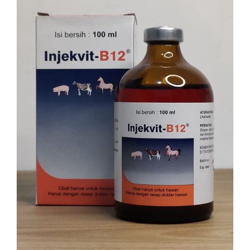 INJEKVIT B12 100 ml MEDION Obat B12 Untuk Perbaiki Kondisi Tubuh Anemia Dan Tingkatkan Makan Hewan Sapi Kambing Domba Ayam Bebek