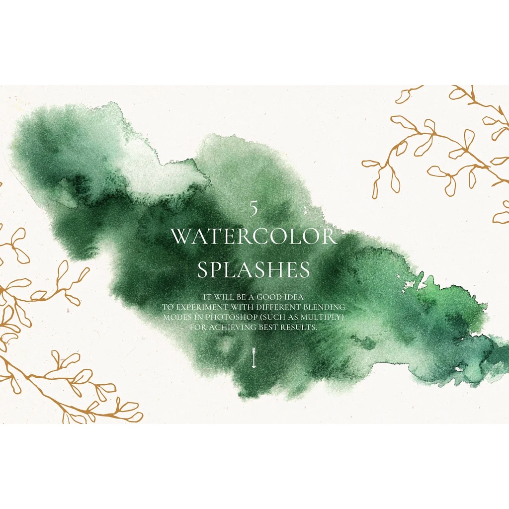 Vector Flowers Village Houses