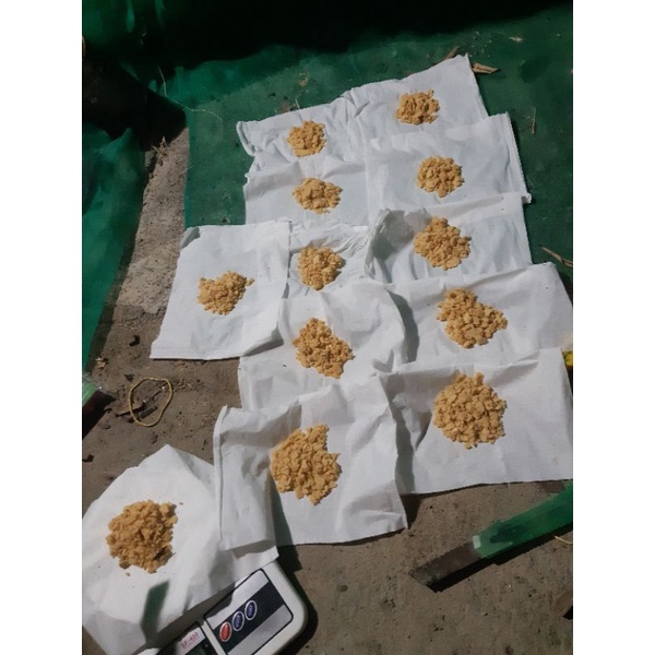 

Telur BSF Berkualitas bagus