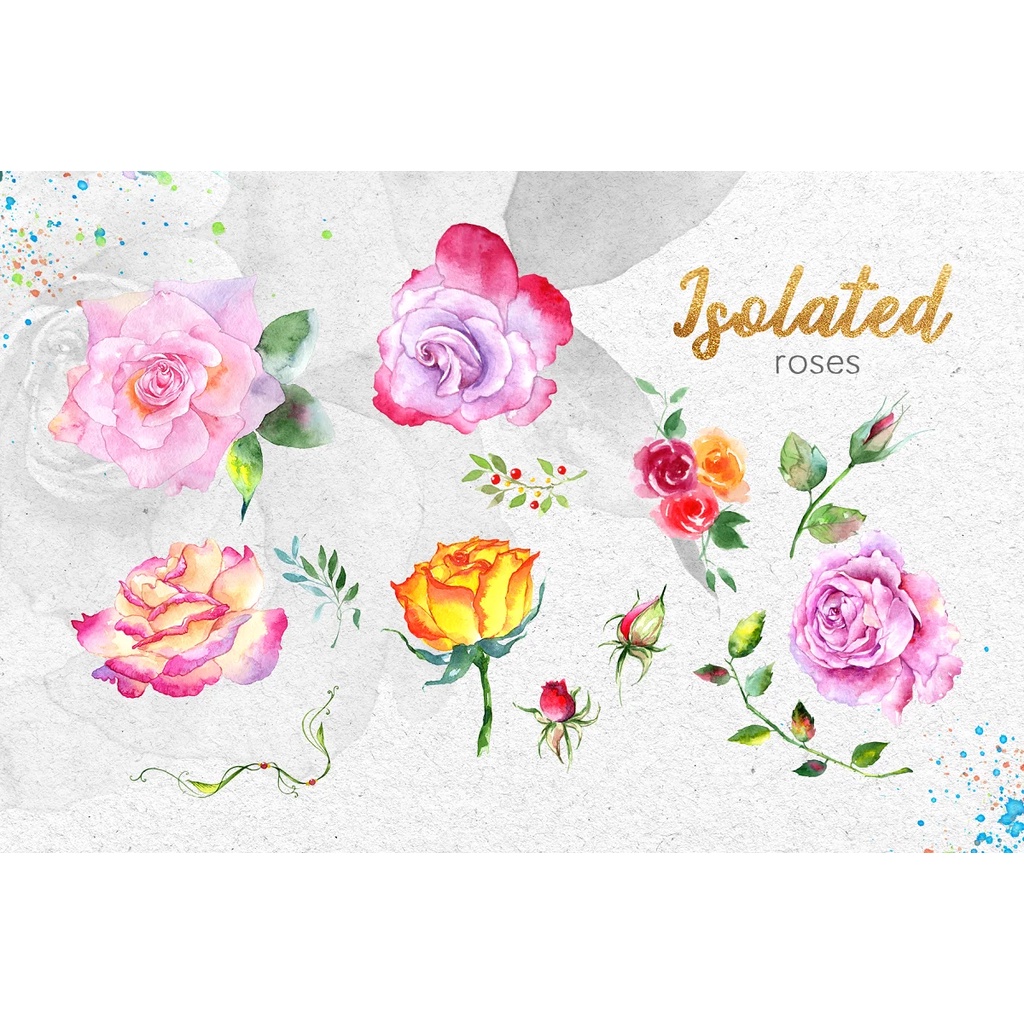 Pink Roses Collection Watercolor