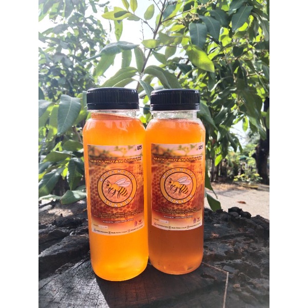 

Madu Hutan Sumbawa/madu Hutan Lunyuk, Sumbawa Asli