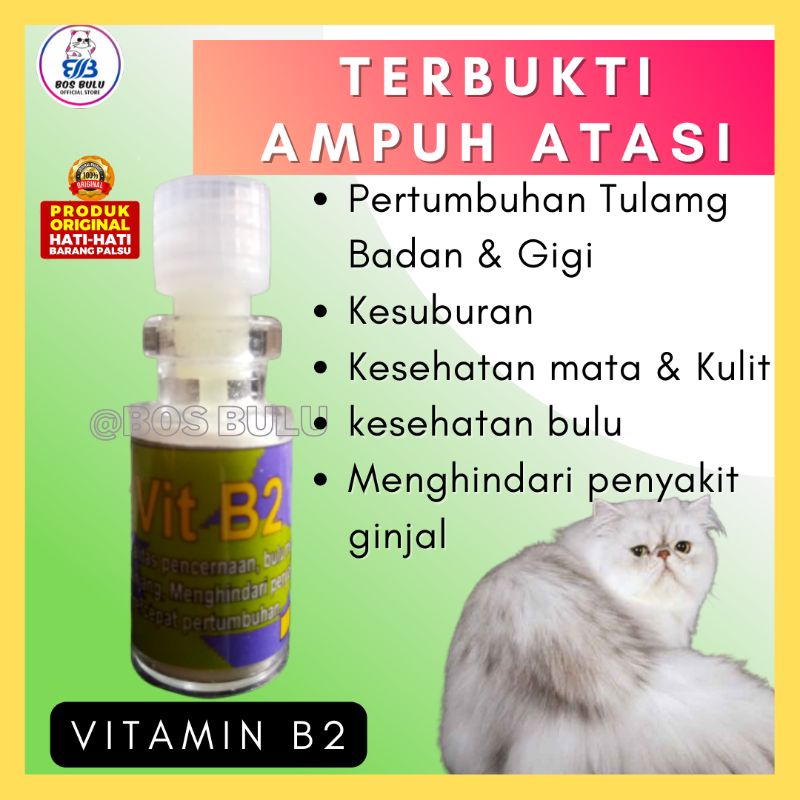 B2 obat kesuburan bulu tulang badan kucing