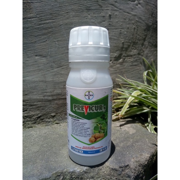 Fungisida PREVICUR N 722 SL 100 ML
