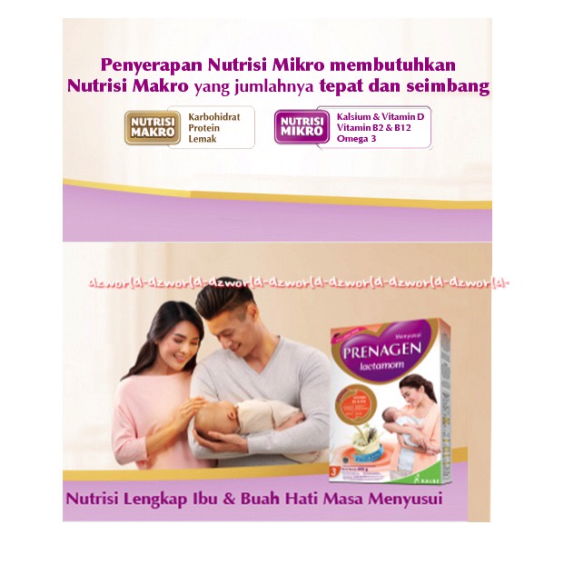 Prenagen Lactamom 400gr Susu Prenagen Ibu Menyusui Rasa Coklat Minuman Susu Untuk ibu Menyusui Prenagent Lacto Mom 400 gr