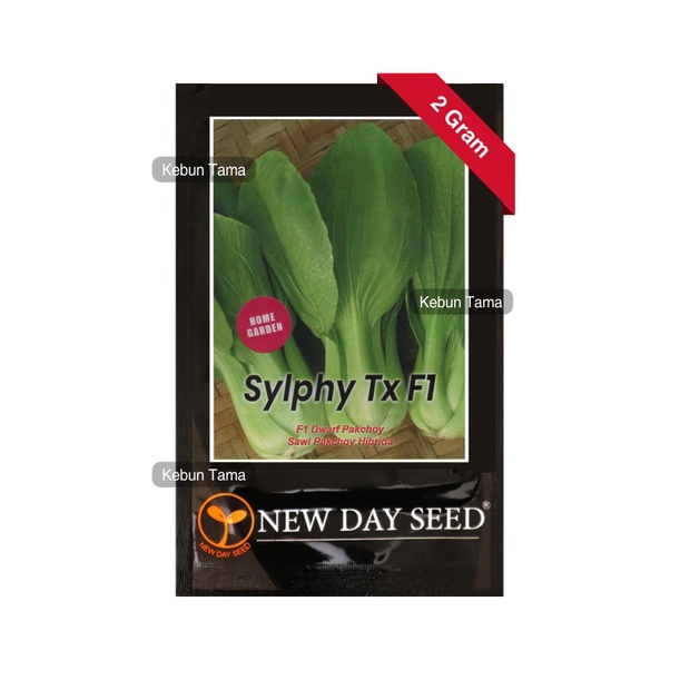 Benih Sawi Pakcoy Sylphy F1 Pakchoy Sawi Sendok New Day Seed
