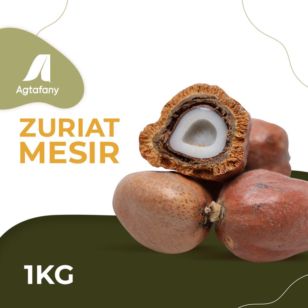 

1 Kg Buah Zuriat Mesir Sudah Dibelah | Buah Zuriyat Doum Promil Free Tespek