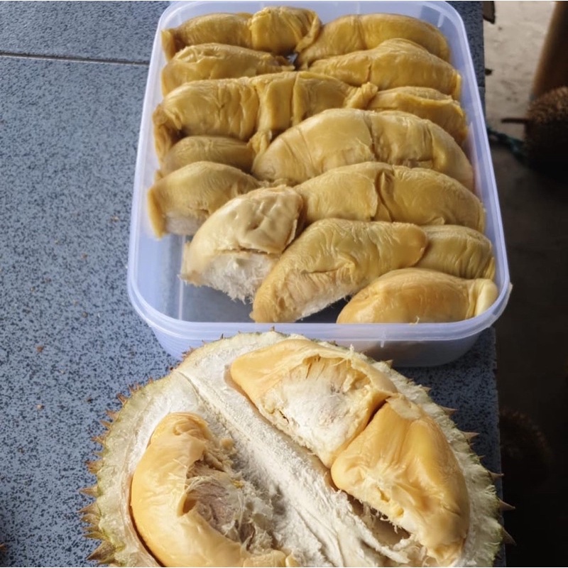 

Durian Asli Medan