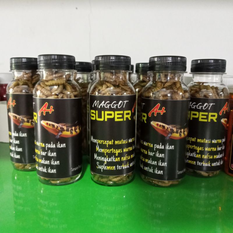 Maggot Super A+ Berkualitas Pakan Ikan Predator Dan Hewan Peliharaan - Beli 5 Gratis 1